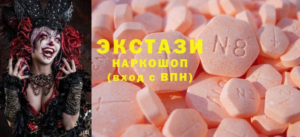 spice Богородицк